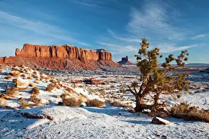 Tribal: USA, Arizona, Monument Valley Navajo Tribal