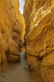 Trail: USA, California, Anza Borrego Desert State Park. Slot canyon