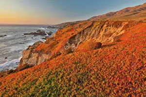 Garrapata: USA, California, Garrapata State Park. Sunset along