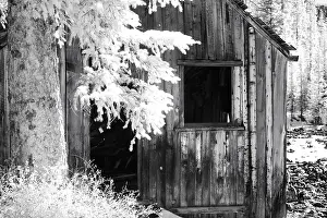 Mining: USA, Colorado, Old Mining Shack