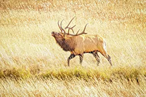 Fred: USA, Colorado, Rocky Mountain National Park. North