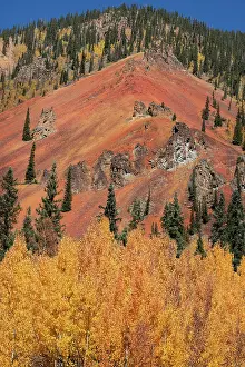 Grove: USA, Colorado, San Juan Mountains. Mountain ridge and autumn