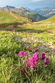 Pass: USA, Colorado, San Juan Mountains. Hurricane Pass
