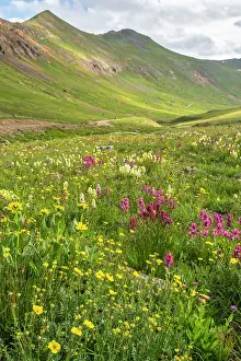 Pass: USA, Colorado, San Juan Mountains. Landscape with