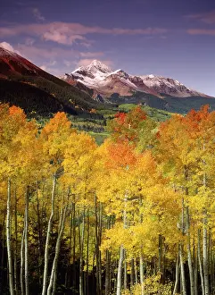 Wilson: USA, Colorado, San Juan National Forest