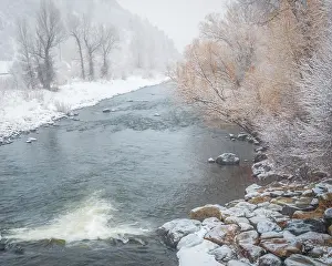 Steamboat: USA, Colorado, Steamboat Springs. Yampa River landscape