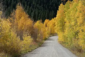 Gravel: USA, Colorado, Uncompahgre National Forest. Gravel road
