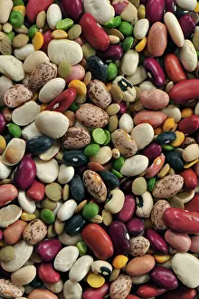 Kidney: USA. Colorful dried bean soup mixture