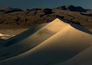 Eureka: USA - Eureka dunes showing light contrast at dawn