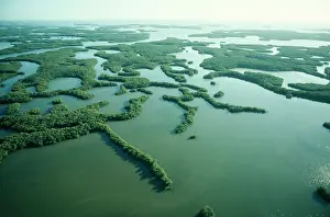 Thousand: USA - Everglades National Park, the Ten Thousand Islands