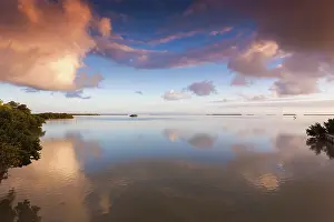 Everglades: USA, Florida, Everglades National Park