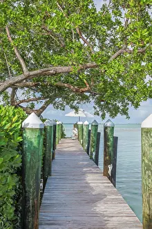 Seashore: USA, Florida, Little Palm Island