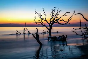 Hollice: USA, Georgia, Jekyll Island, Sunrise on Driftwood