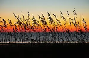 Seascape: USA, Georgia, Tybee Island. Sunrise with silhouetted