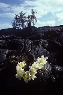 Volcanos: USA - Hawaii - Big Island - Eruption of the Pu'u