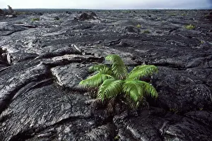 Volcanos: USA - Hawaii - Big Island - Hawaii Volcanoes National Park