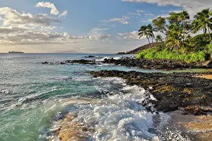 Palm: USA, Hawaii, Maui, Makena. White sands of Makena