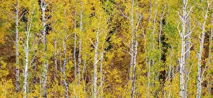 Highway: USA, Idaho, Highway 36 west of Liberty and hillsides