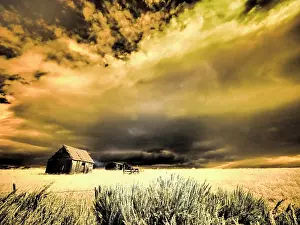 Cabin: USA, Idaho, Liberty, Infrared of old cabin near Liberty