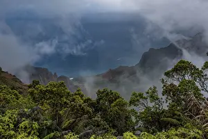 Hawaii: USA, Kauai, Hawaii. Lush vegetation, sea cliffs