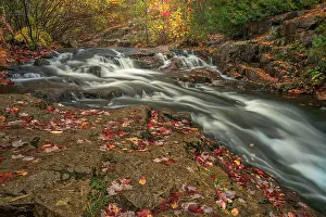 Harbor: USA, Maine, Acadia National Park. Stream rapids in forest
