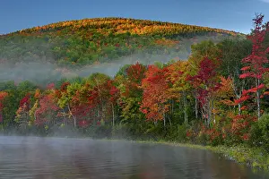 Maine: USA, Maine. Brilliant fall colors at edge of South