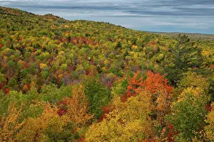 Maine: USA, Maine. Colorful fall foliage, Baxter State Park