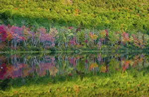 Maine: USA, Maine. Colorful foliage reflected in South