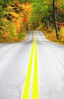 Line: USA, Maine, Highway 113 lined by Maple and Birch