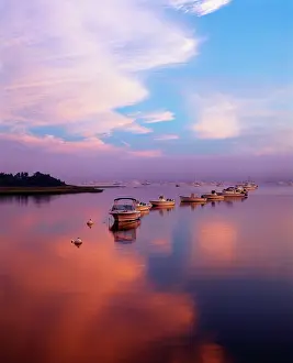 Moored: USA, Massachusetts, Chatham, Boats in Harbor
