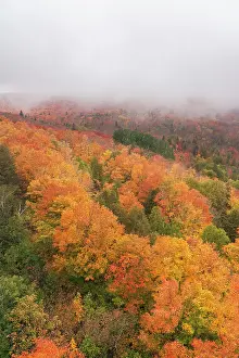 Don Grall: USA, Minnesota, Superior National Forest. Autumn forest