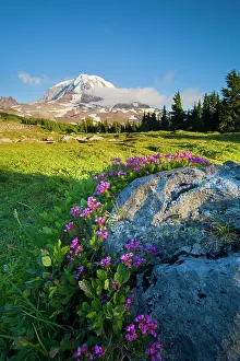 Gary: USA, Mt. Rainier National Park, Washington