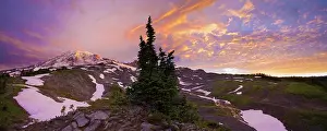 Rainier: USA, Mt. Rainier National Park, Washington