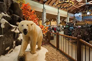 Walter: USA, Nebraska, Omaha, stuffed animal display