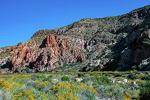 Nevada: USA, Nevada, Elgin. Rainbow Canyon
