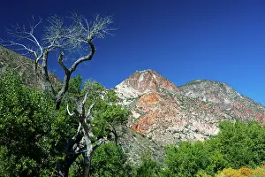 Nevada: USA, Nevada, Elgin. Rainbow Canyon