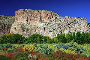 Nevada: USA, Nevada, Elgin. Rainbow Canyon