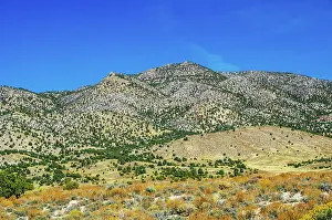 Nevada: USA, Nevada, Ely. White Pine Mountains