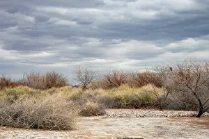 Nevada: USA, Nevada, Las Vegas (on 2019 California Drought