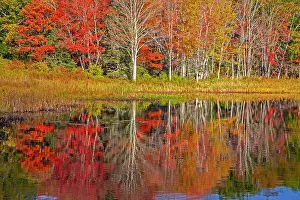 Maine: USA, New England, Maine, Lake with Fall colors reflected