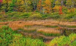 Maine: USA, New England, Maine, Mt. Desert Island, Acadia