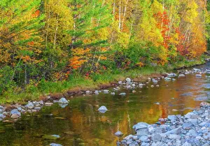 Maine: USA, New England, Maine, Wild River, reflections