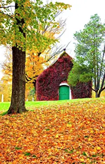 Door: USA, New England, Vermont old brick building covered