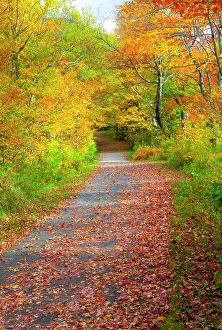 Lined: USA, New Hampshire, Franconia, one lane roadway