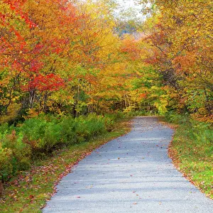 Lined: USA, New Hampshire, Franconia, one lane roadway