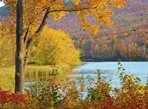 Maple: USA, New Hampshire, Franconia, small lake surrounded