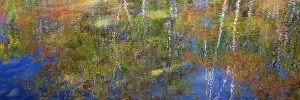 Mode: USA, New Hampshire, Gorham Autumn colors reflected