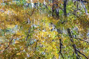 Mode: USA, New Hampshire, Gorham Autumn colors reflected