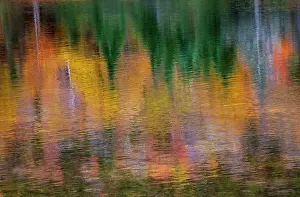 Reflected: USA, New Hampshire, New England Fall colors reflected
