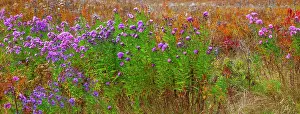 Highway: USA, New Hampshire, New England field off of highway